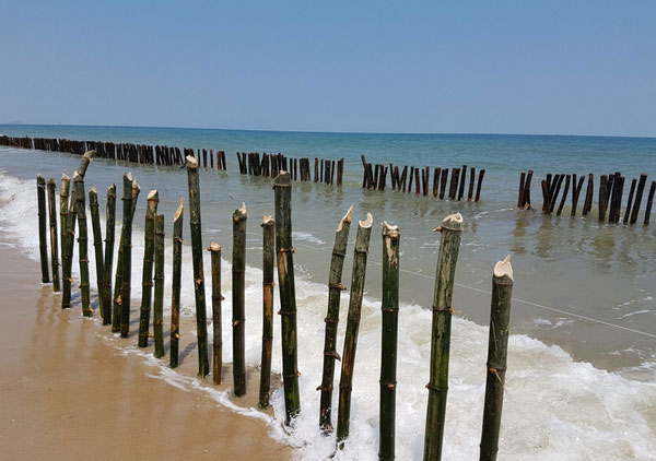 PHẠM VI ÁP DỤNG CỘT TRE